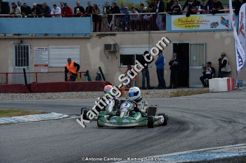 DSC_9847.jpg
