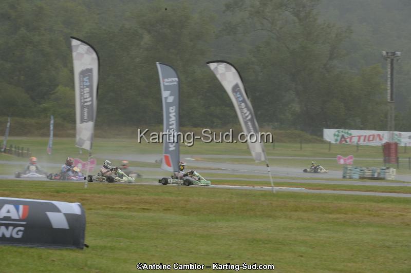 DSC_4454.jpg