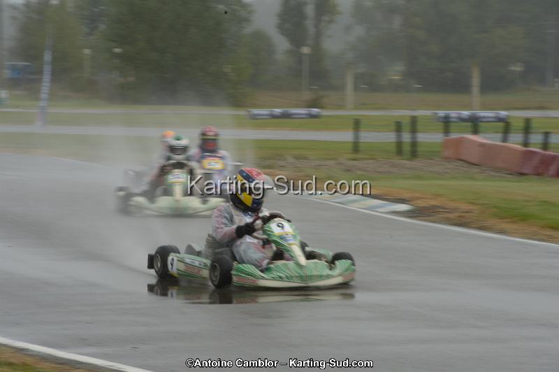 DSC_4455.jpg