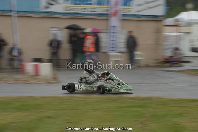DSC_4463.jpg