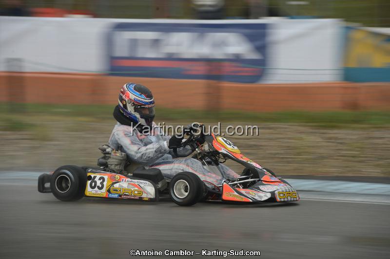 DSC_4537.jpg