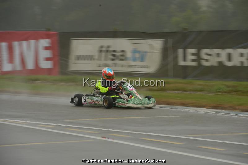 DSC_4782.jpg