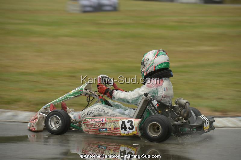 DSC_4950.jpg