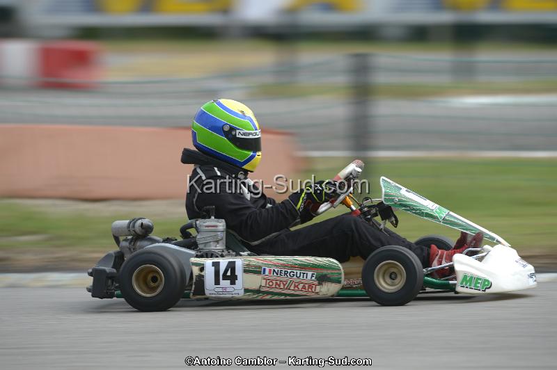 DSC_5667.jpg