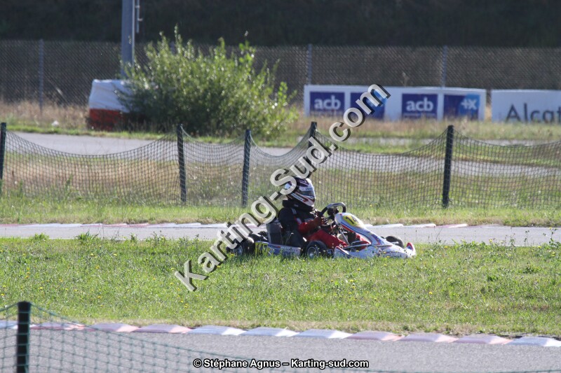 IMG_8768.JPG