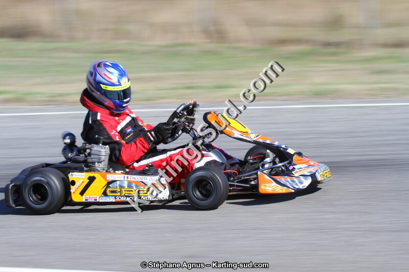 IMG_8981.JPG