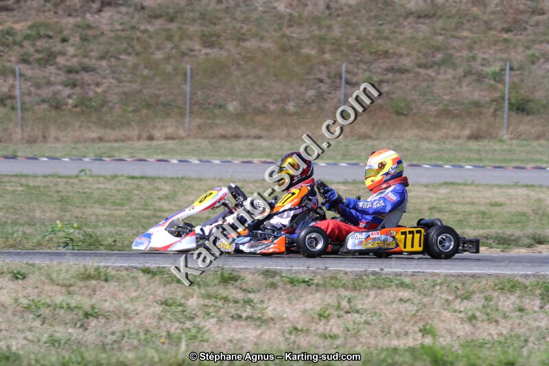 IMG_9560.JPG