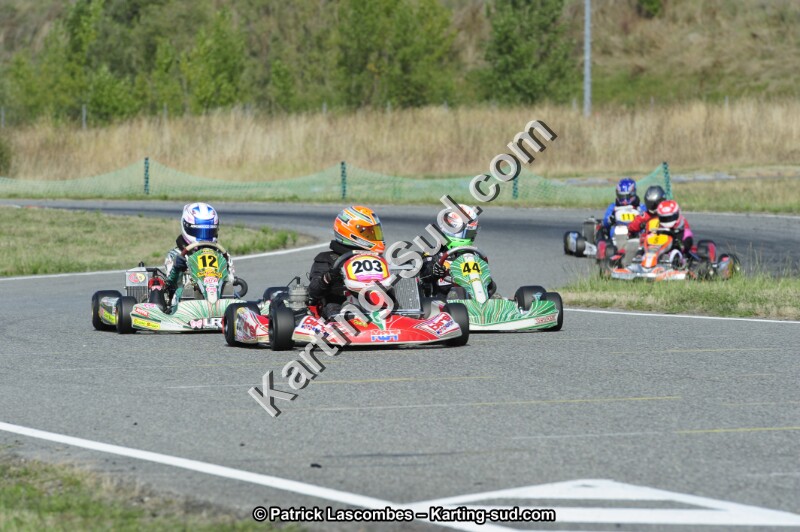 _DSC4955.JPG