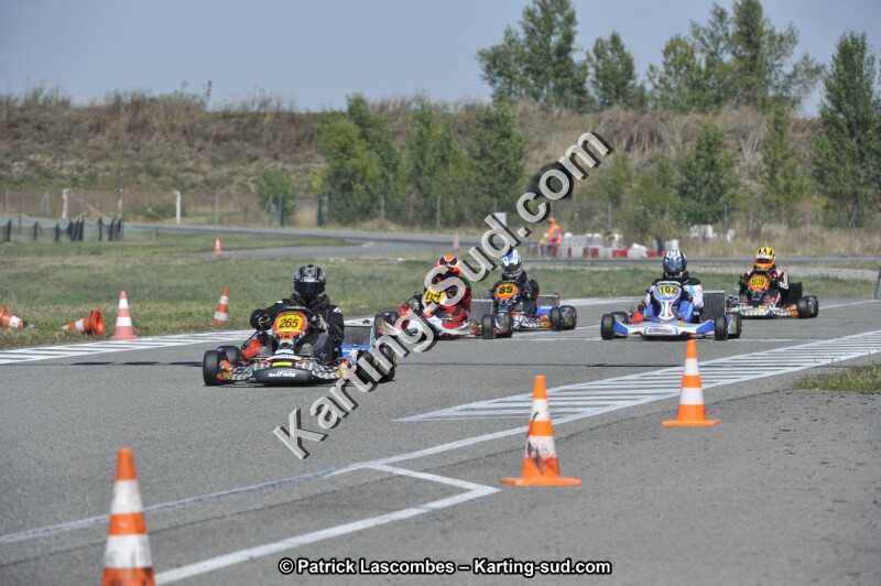 _DSC9985.JPG