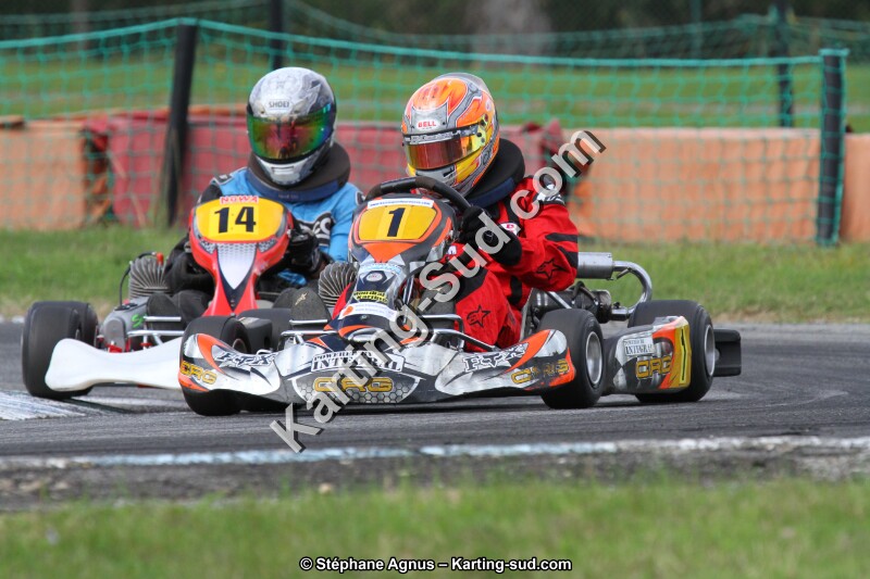 IMG_2247.JPG