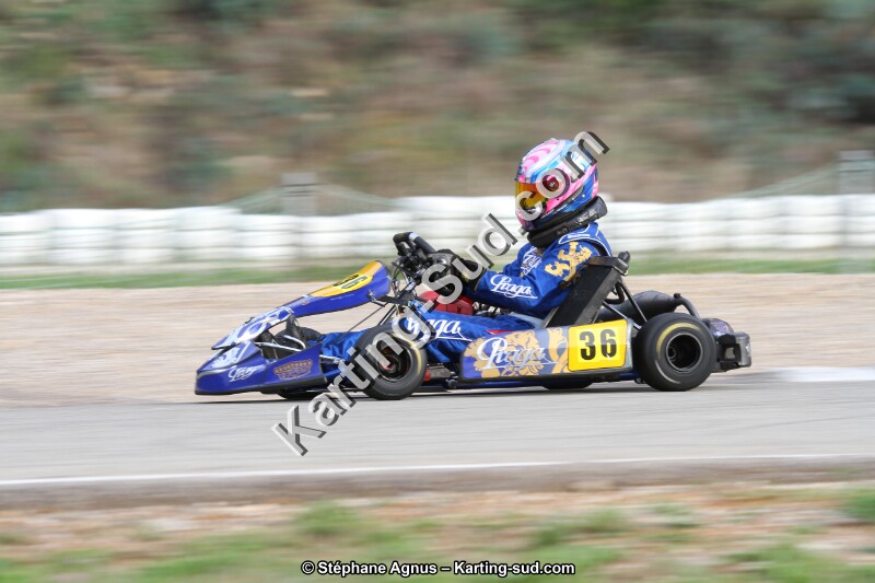IMG_4964.JPG