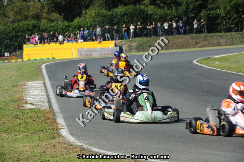 _DSC7897.JPG