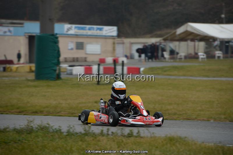 DSC_3181.jpg