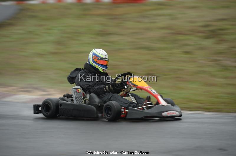 DSC_0368.jpg