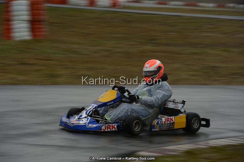 DSC_0378.jpg
