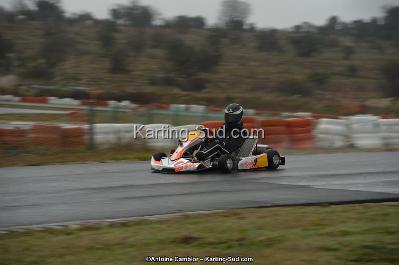 DSC_0384.jpg
