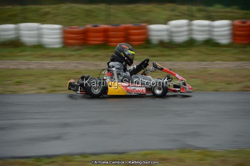 DSC_0437.jpg