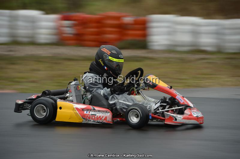 DSC_0446.jpg