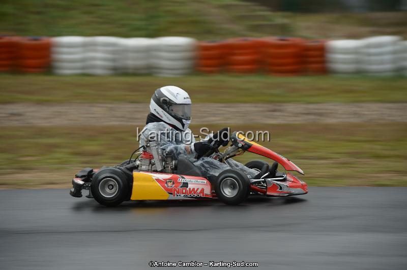 DSC_0447.jpg