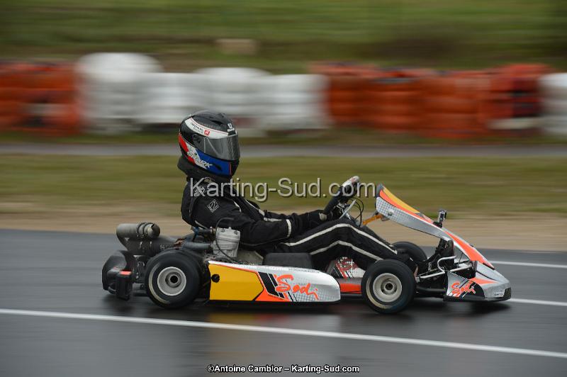DSC_0485.jpg