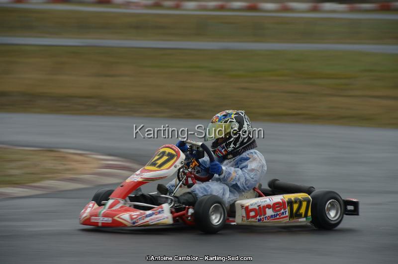 DSC_0564.jpg