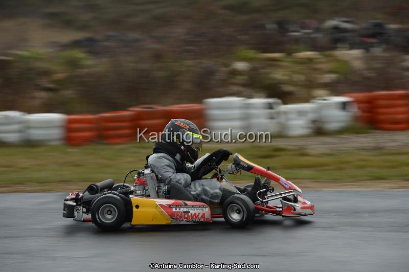 DSC_0774.jpg