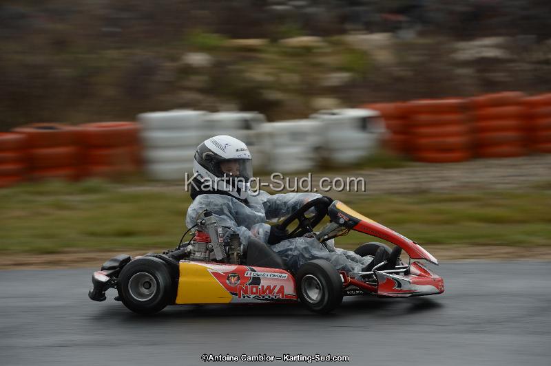 DSC_0782.jpg