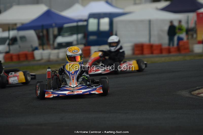 DSC_1251.jpg