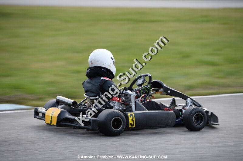 DSC_0772.jpg