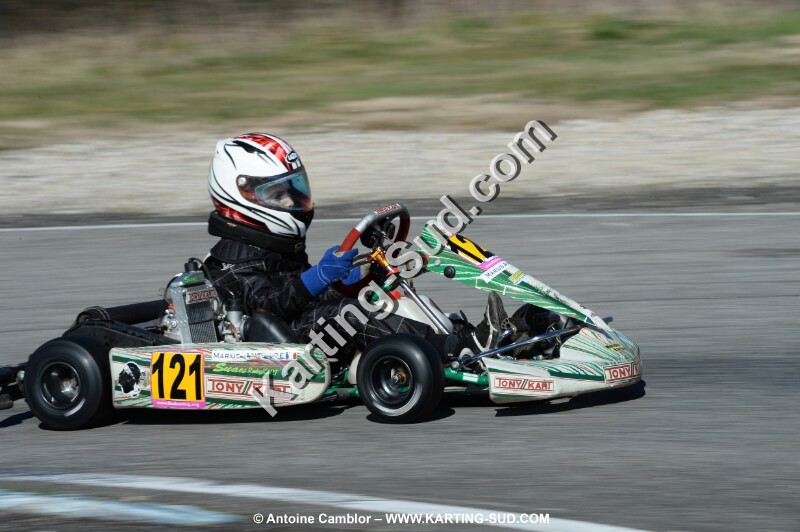 DSC_1337.jpg