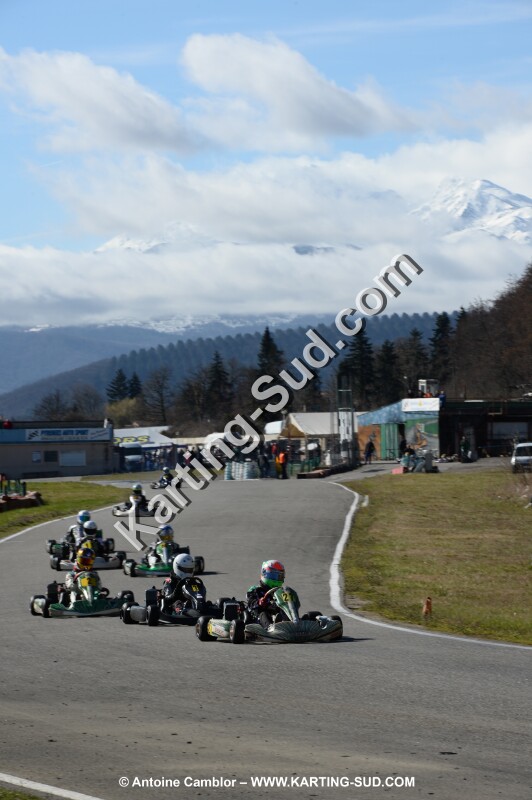 DSC_1411.jpg