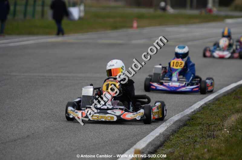 DSC_2175.jpg