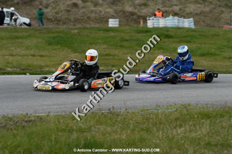 DSC_2229.jpg