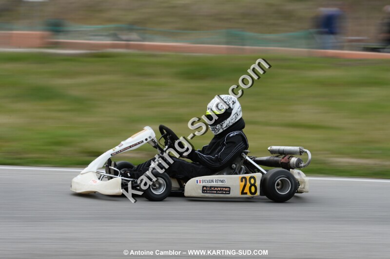 DSC_2377.jpg