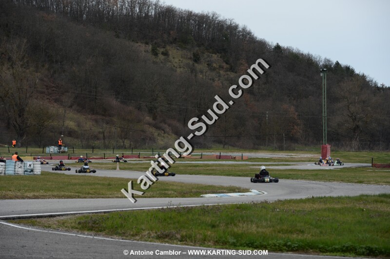 DSC_2513.jpg