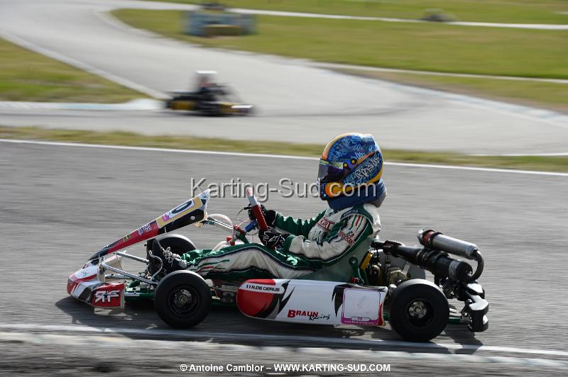 DSC_0151.jpg