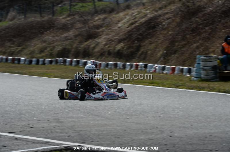 DSC_0172.jpg