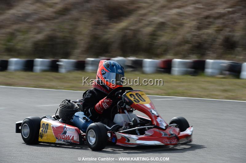 DSC_0175.jpg