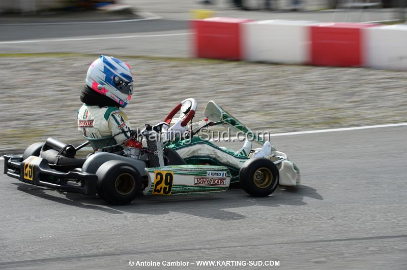 DSC_0274.jpg