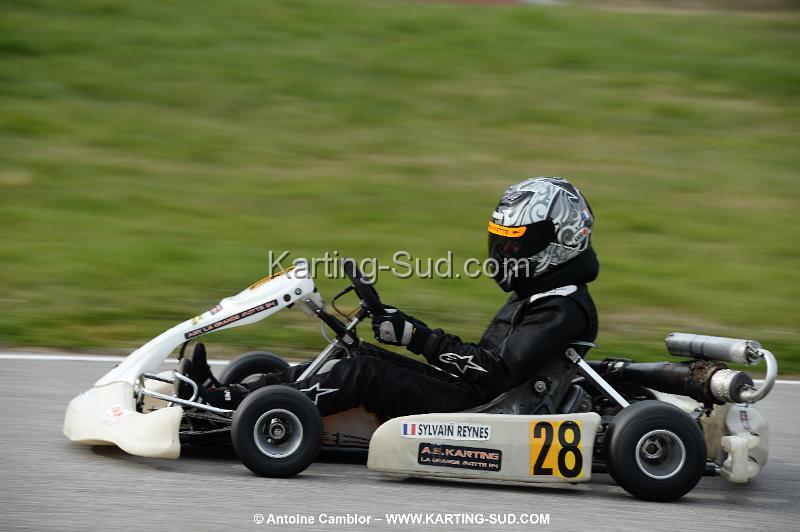 DSC_0367.jpg