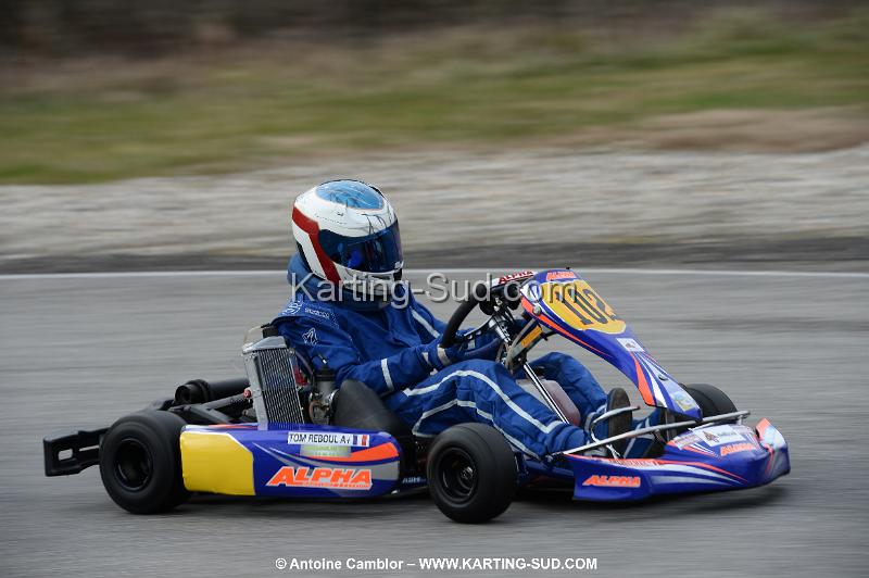 DSC_0558.jpg