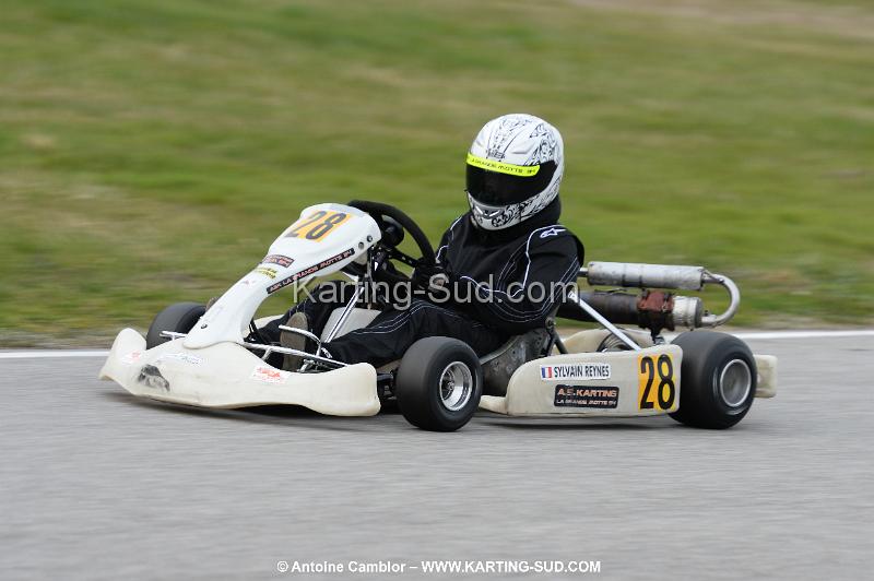DSC_2411.jpg