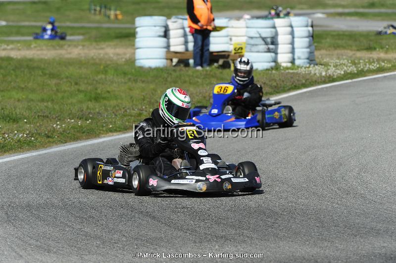 _DSC8565.JPG