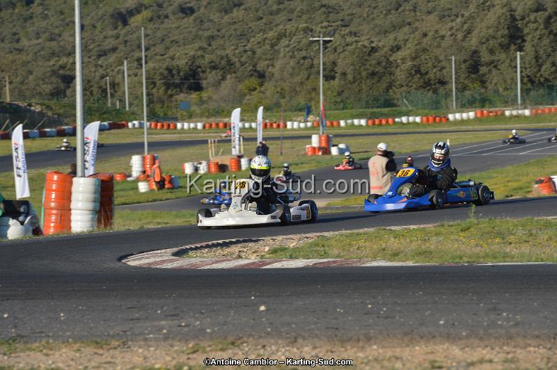 DSC_0537.jpg