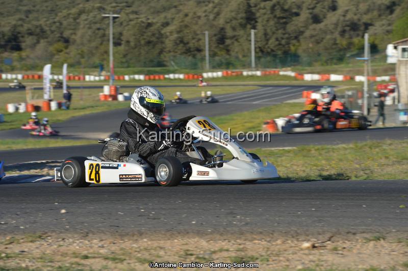 DSC_0538.jpg