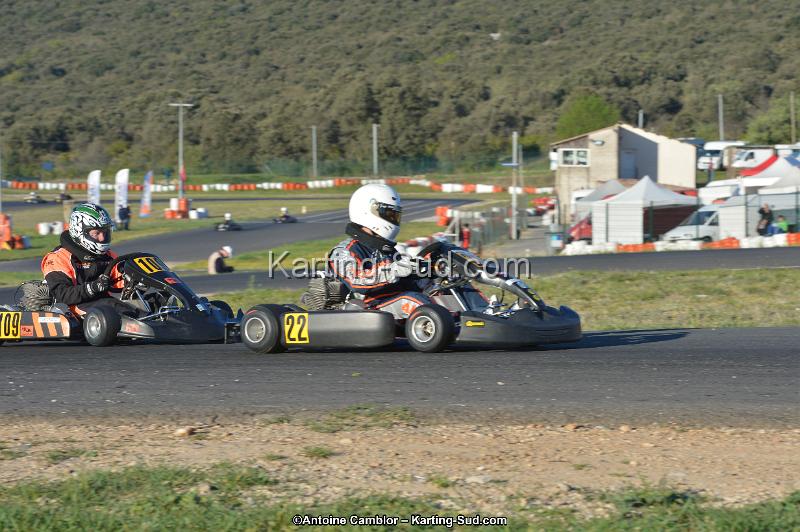 DSC_0554.jpg