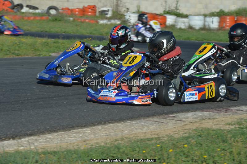 DSC_0762.jpg
