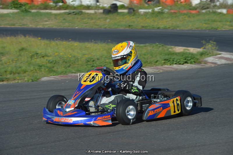 DSC_0768.jpg