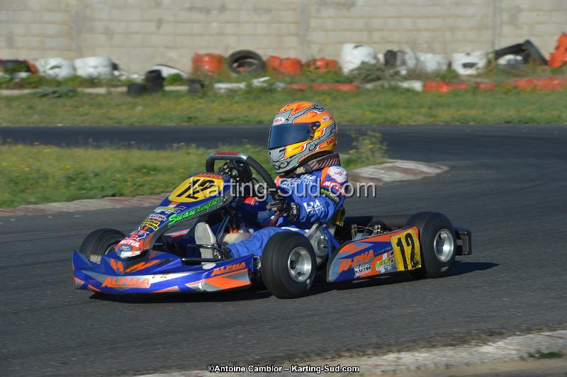 DSC_0785.jpg