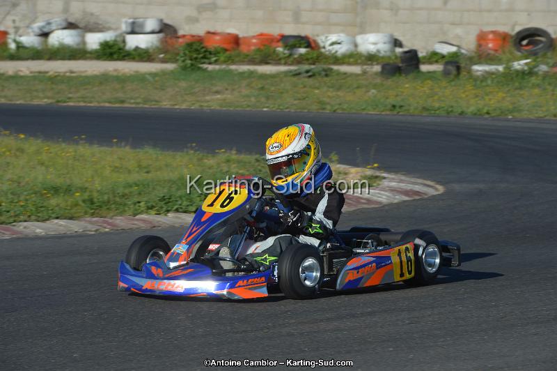 DSC_0809.jpg